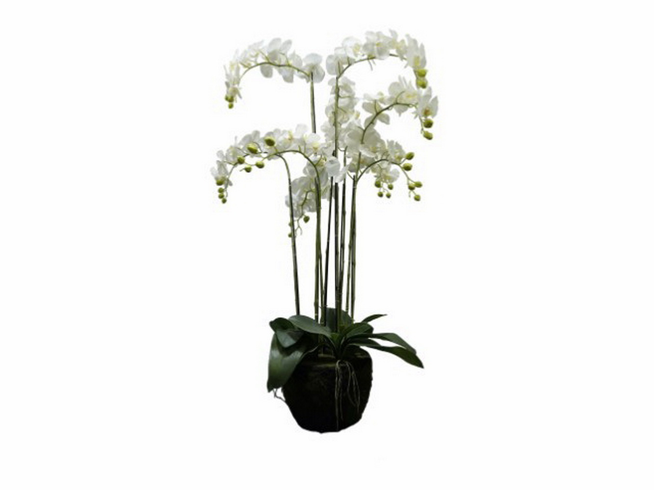 PLANTA ORQUIDEA BR 120cm 04 0010586