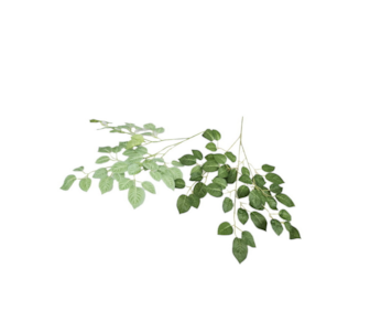 FOLHAGEM ROSEIRA X3 65cm 37063