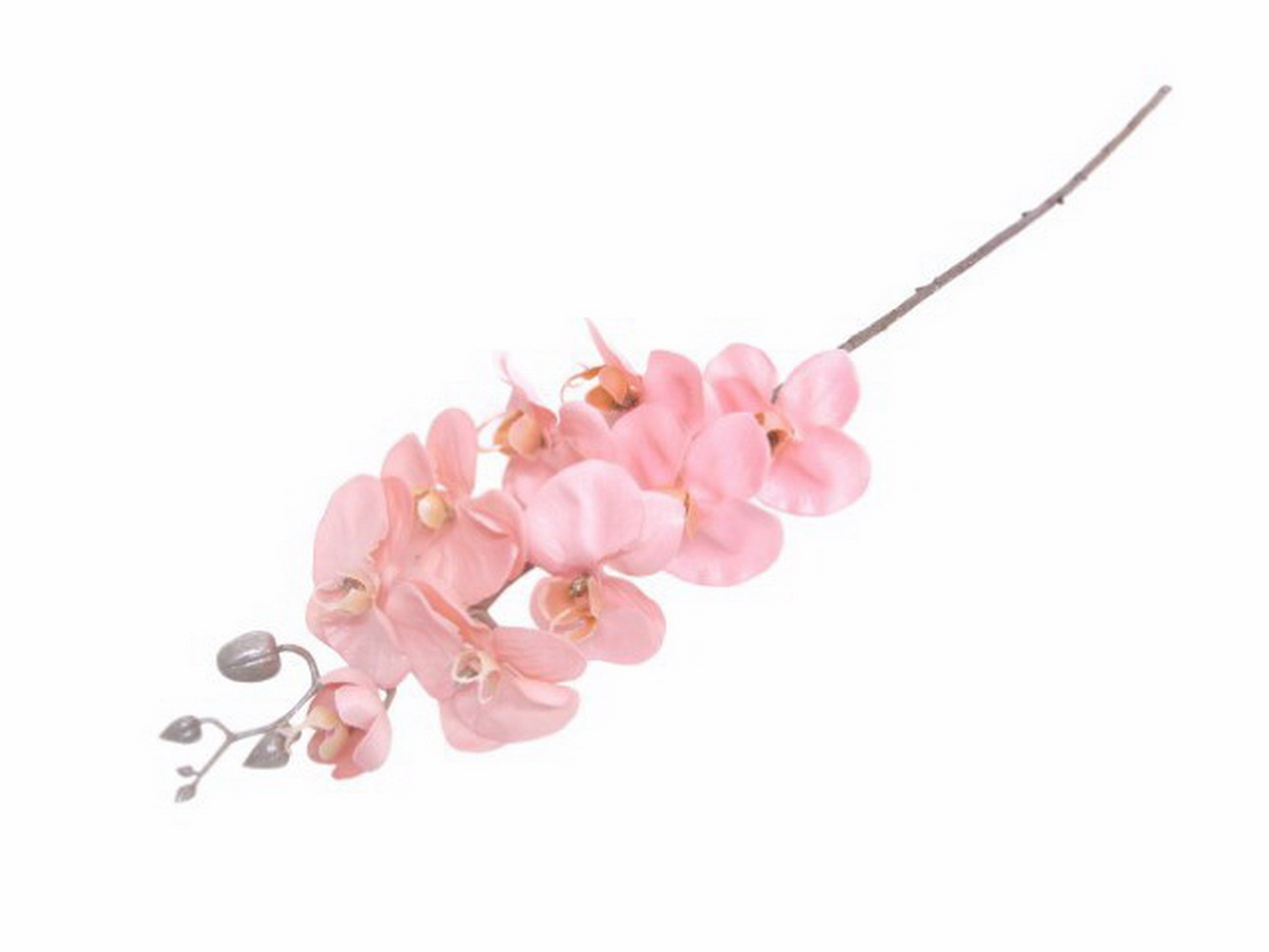 PE DE ORQUIDEA ROSA 77cm 04 0009342