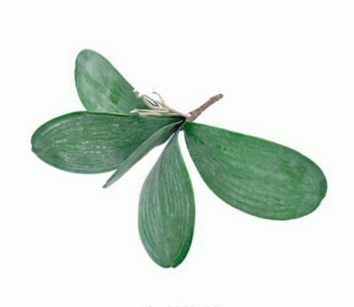 FOLHAGEM ORQUIDEA 25cm 04 0010701