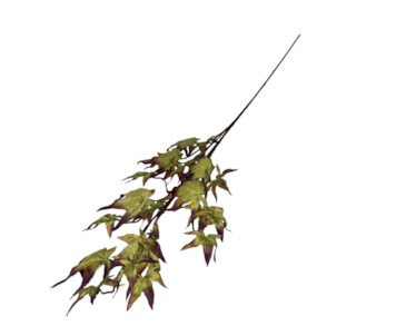 HASTE CARVALHO 105cm 53098