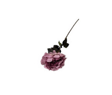 HASTE PEONIA OUTONO 84cm 53091