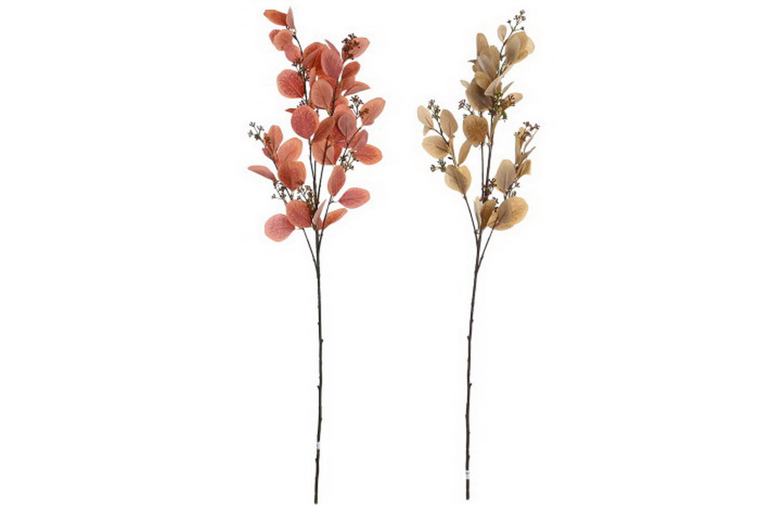 HASTE EUCALIPTO 2S 20X95 JA-205826