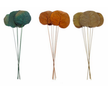EMB FLOR SEAGRAPES SORT 04 237