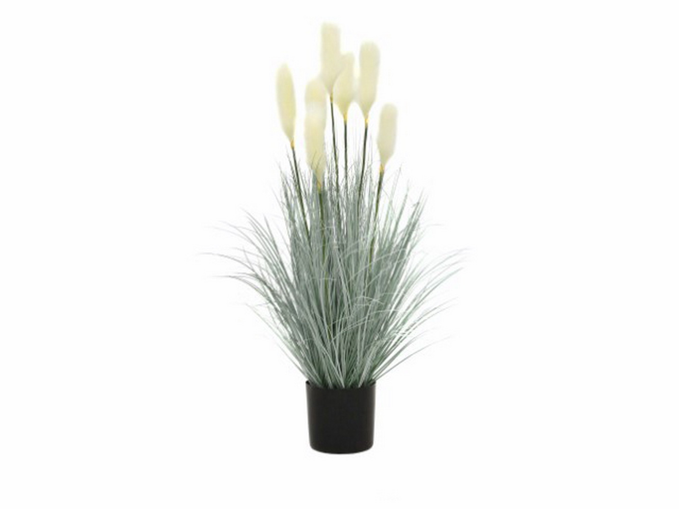 PLANTA REED GRASS BR 124cm 04 0012181