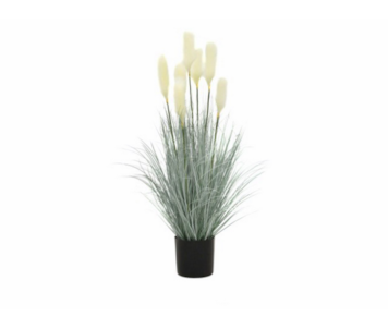 PLANTA REED GRASS BR 124cm 04 0012181
