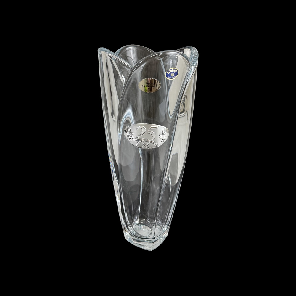 JARRA GLOB 30,5cm 25 AN 9987305-325