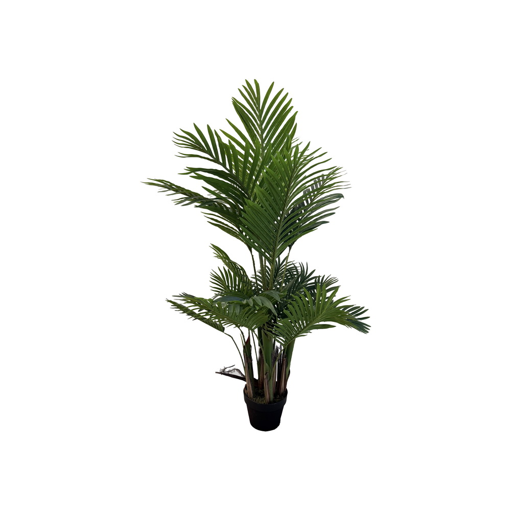 PLANTA PALMEIRA X5 120cm 40012