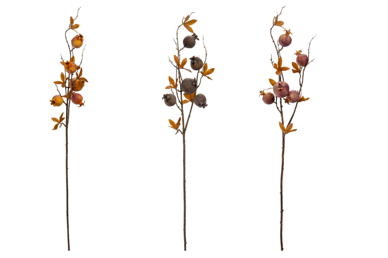 HASTE ROMAS 80cm 53115