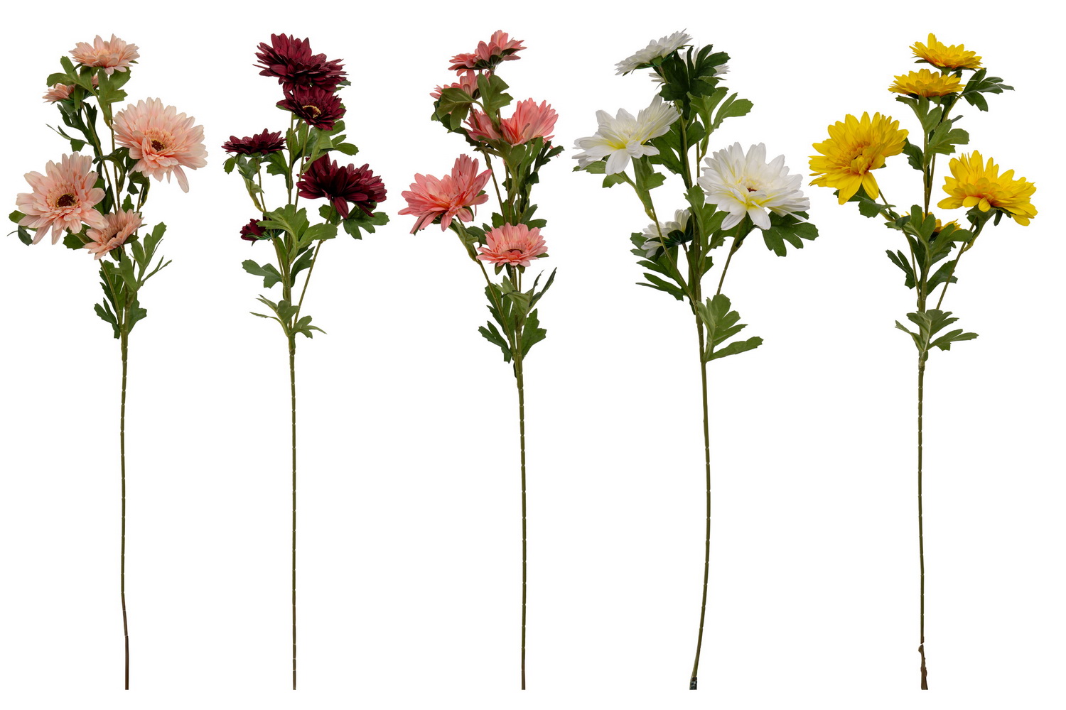 HASTE GERBERA X5 5S 70cm 53134