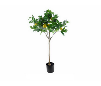 PLANTA LIMOEIRO 120cm  04 0013203