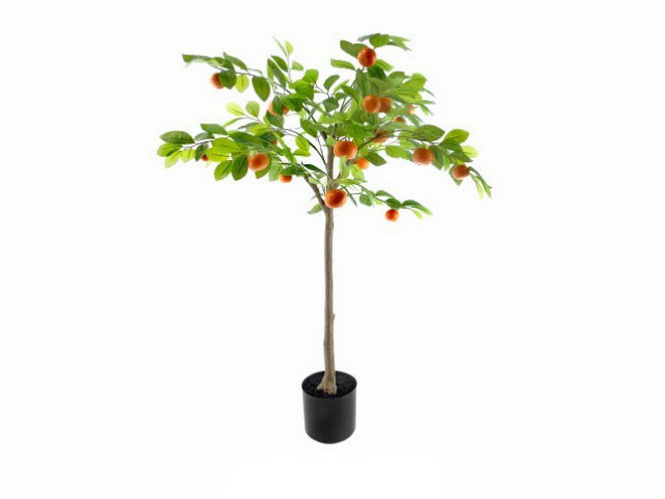 PLANTA TANGERINEIRA 120cm  04 0013205