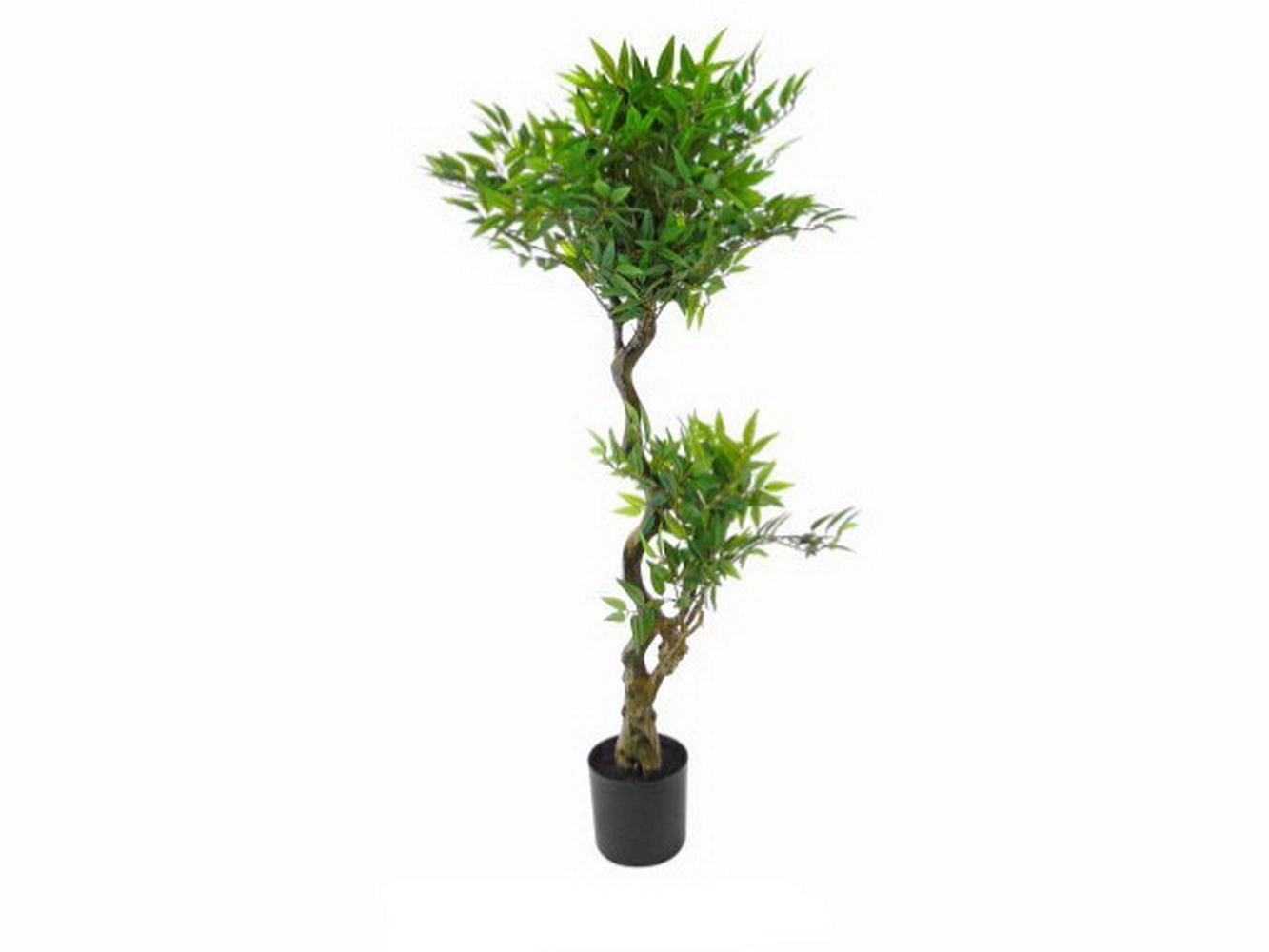 PLANTA FICUS 145cm  04 0005343