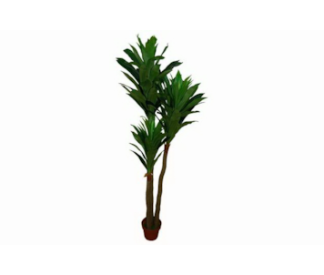 PLANTA ART DRACAENA 180cm 04 0006781