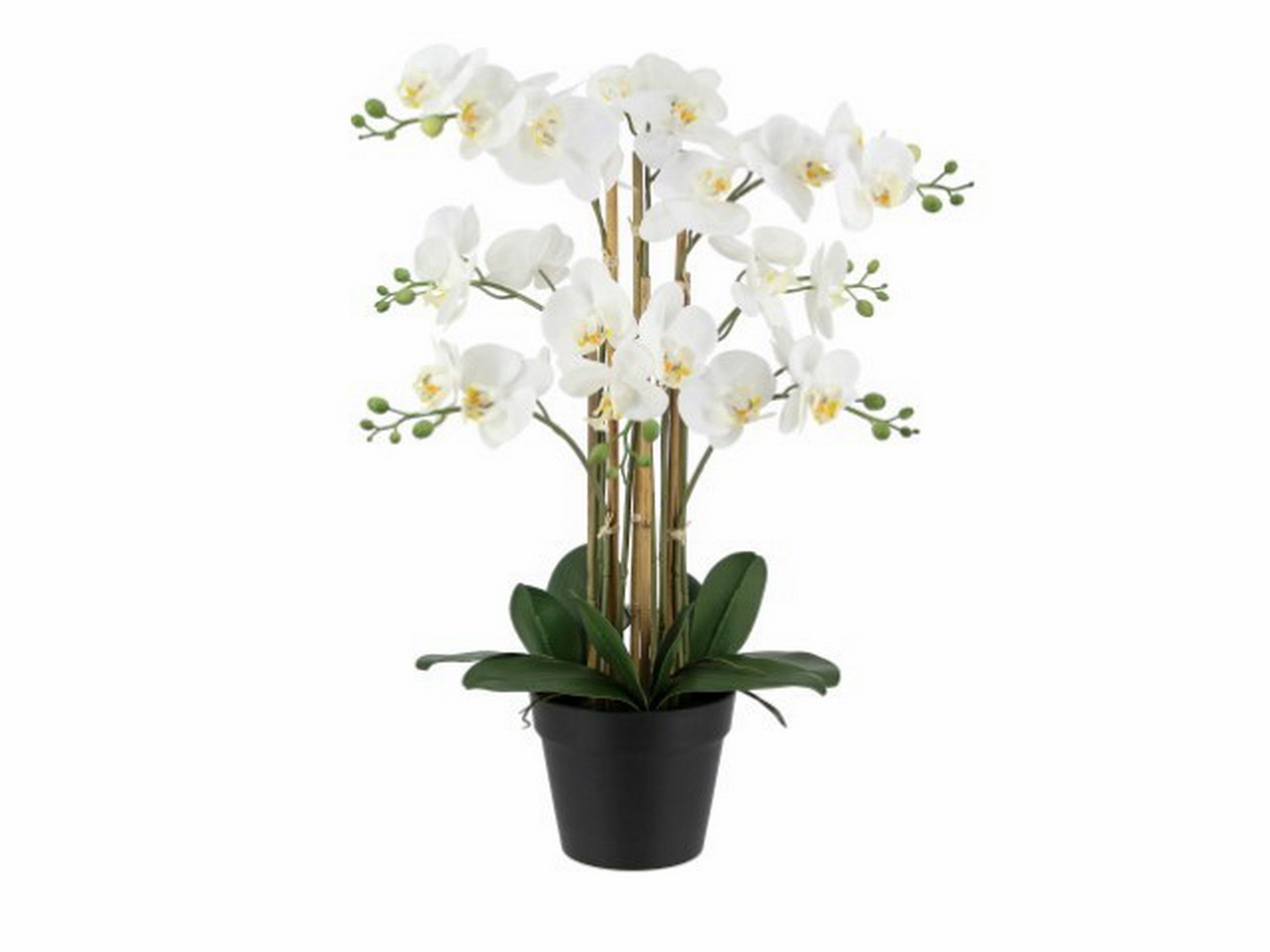 VASO ORQUIDEA BR 71cm 04 0013515