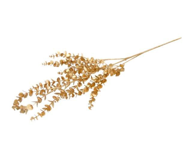 HASTE EUCALIPO DOU 78cm 10 0008375