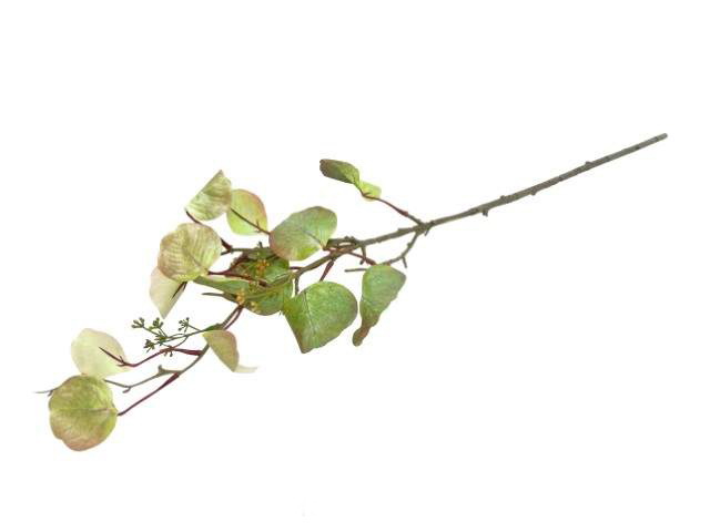 HASTE EUCALIPO OUT VRD 72cm 10 0008354