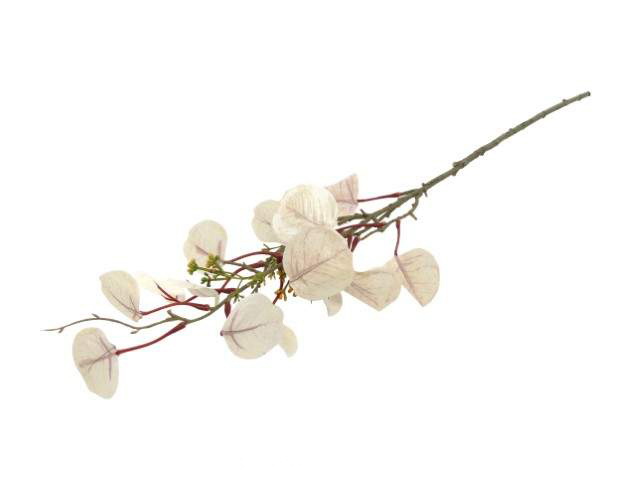 HASTE EUCALIPO OUT BR 72cm 10 0008355