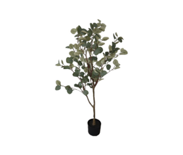 PLANTA EUCALPTUS 115cm 40180
