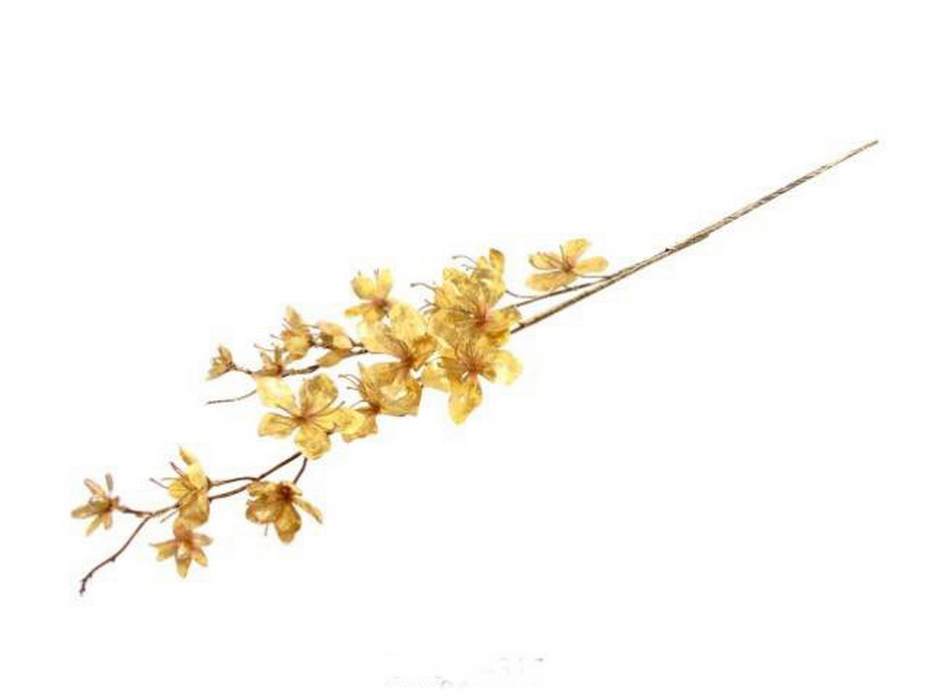 HASTE FLOR MACA DOUR 94cm 04 0014315