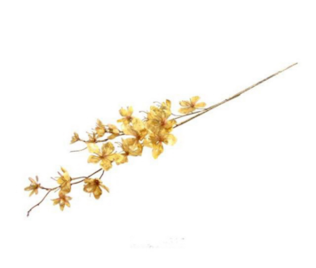 HASTE FLOR MACA DOUR 94cm 04 0014315