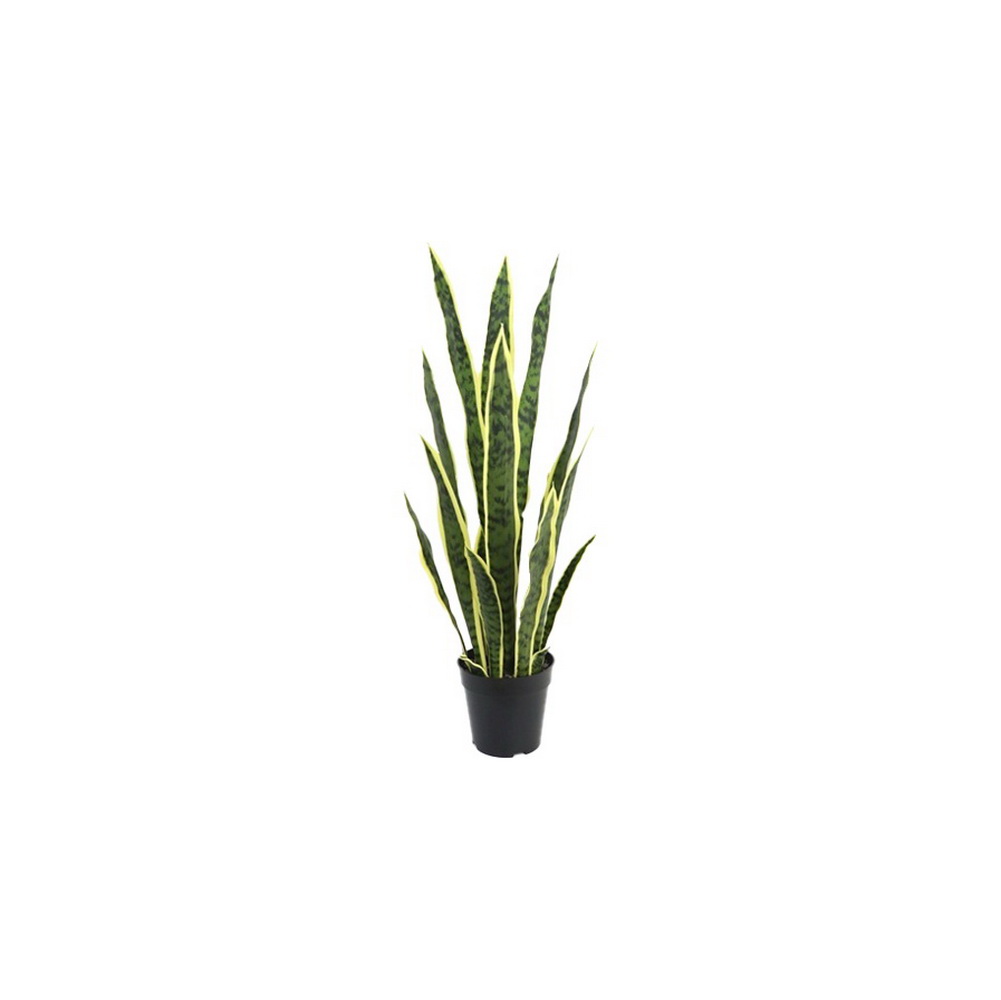 PLANTA SANSEVERIAS 73cm 30417