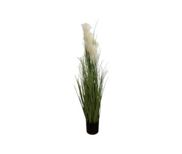 PLANTA PAMPAS PEROLA 120cm 30247