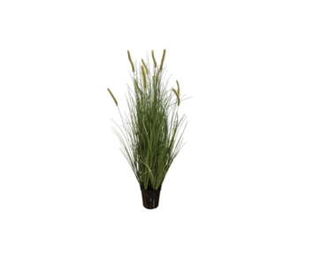 PLANTA PAMPAS GRASS VRD 90cm 30413