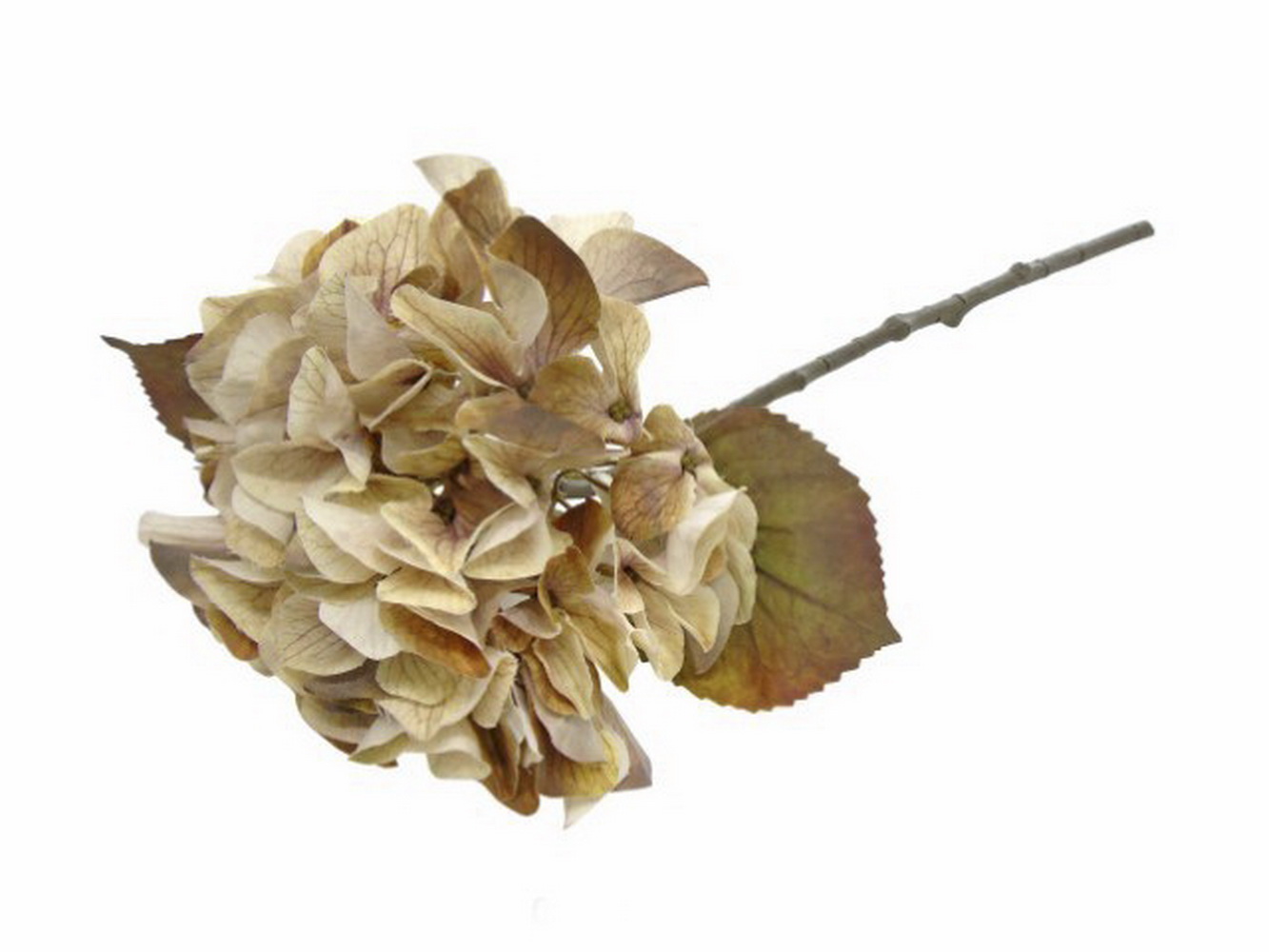 HASTE HORTENSIA BR/CAST 47cm 04 0012836