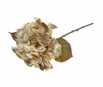 HASTE HORTENSIA BR/CAST 47cm 04 0012836