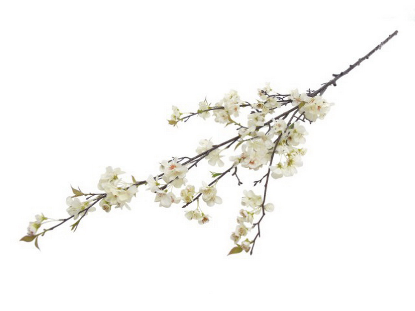 HASTE CEREJEIRA BRANCO 150cm 04 0014406