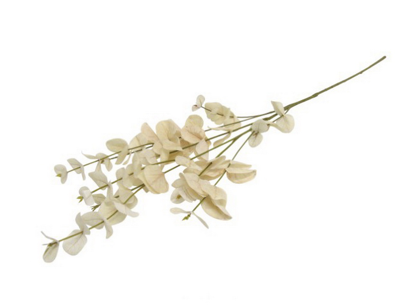 FOLHAGEM EUCALIPTO CREME 95cm 04 0014427