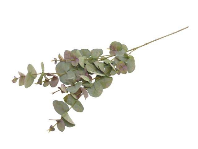 FOLHAGEM EUCALIPTO CZ/VRM 99cm 04 0014511