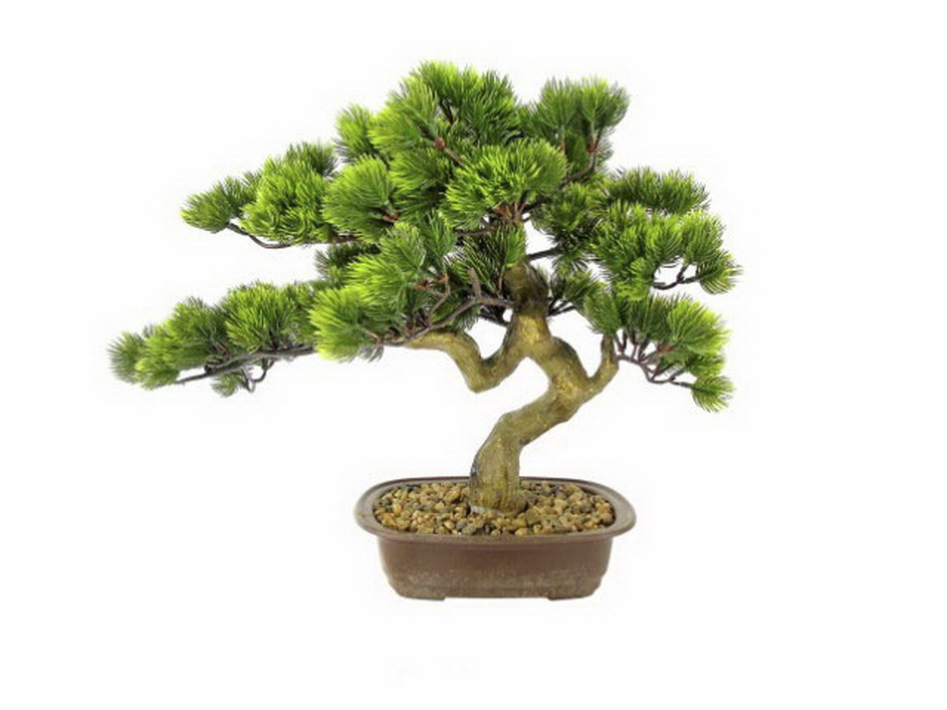 PLANTA BONSAI PINE VRD 46cm 04.0010787