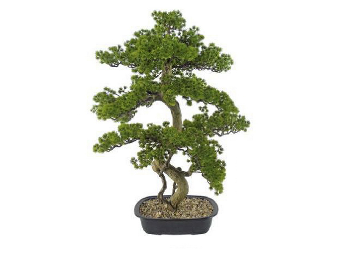 PLANTA BONSAI PINE TREE 86cm 04.0013561