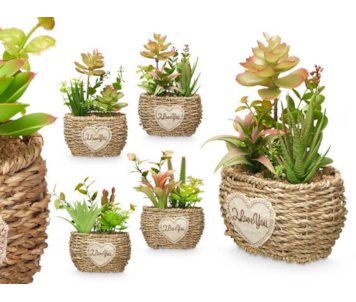VASO PLANTAS 4 S 15x22 19152