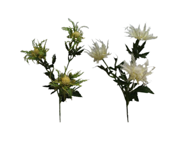 HASTE CARDOS X3 67cm 20299