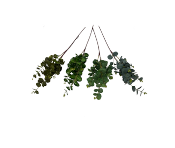 HASTE FOLHAGEM EUCALIPTO 88cm 37106