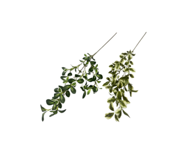 HASTE FOLHAGEM COLEOS 90cm 30333