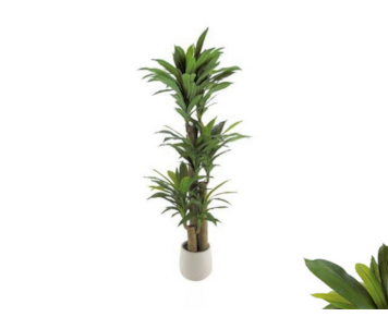 PLANTA ART DRACAENA 160cm 04 0015056