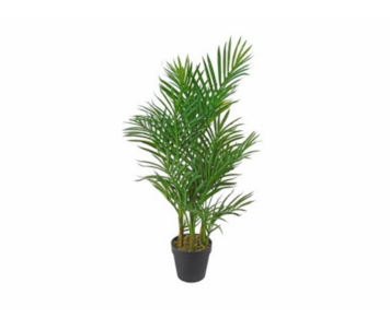 PLANTA PALM TREE 90cm 04 00012426