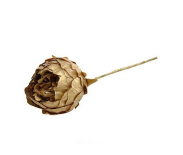 HASTE PEONIA DOUR 34cm 04 0014268