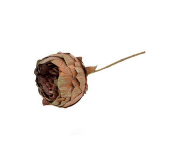 HASTE PEONIA RS/DOUR 34cm 04 0014269