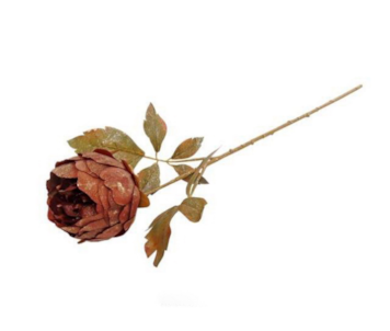 HASTE PEONIA CAST 53cm 04 0014284
