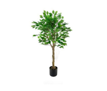 PLANTA REAL T FICUS 120cm 04 00014399