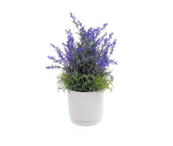 VASO ALFAZEMA 11x35 04 0015146