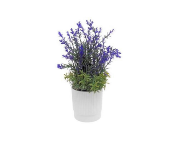 VASO ALFAZEMA 10X32 04 0015147