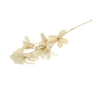 HASTE LIRIOS BG/OURO 80cm 10 0008370