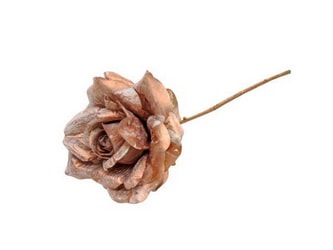 HASTE ROSA RS/DOUR 34cm 04 0014263