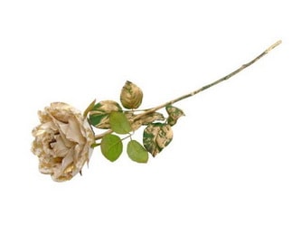 HASTE ROSA BG/DOU 66cm 04 0014339